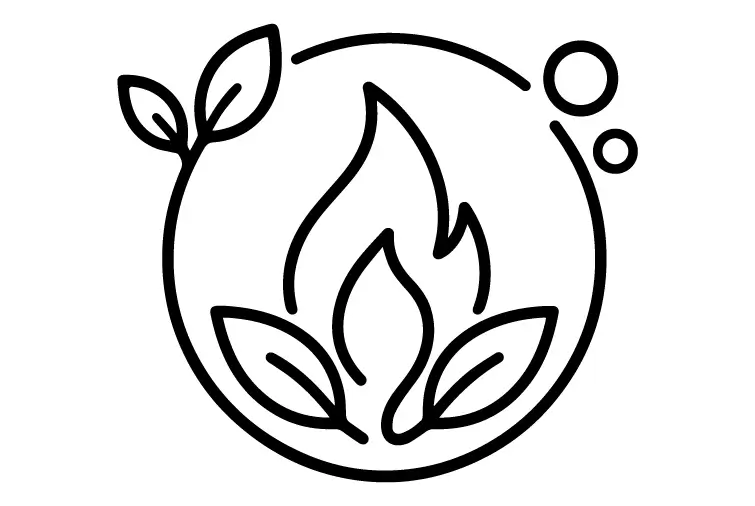 Renewable Gas Streams